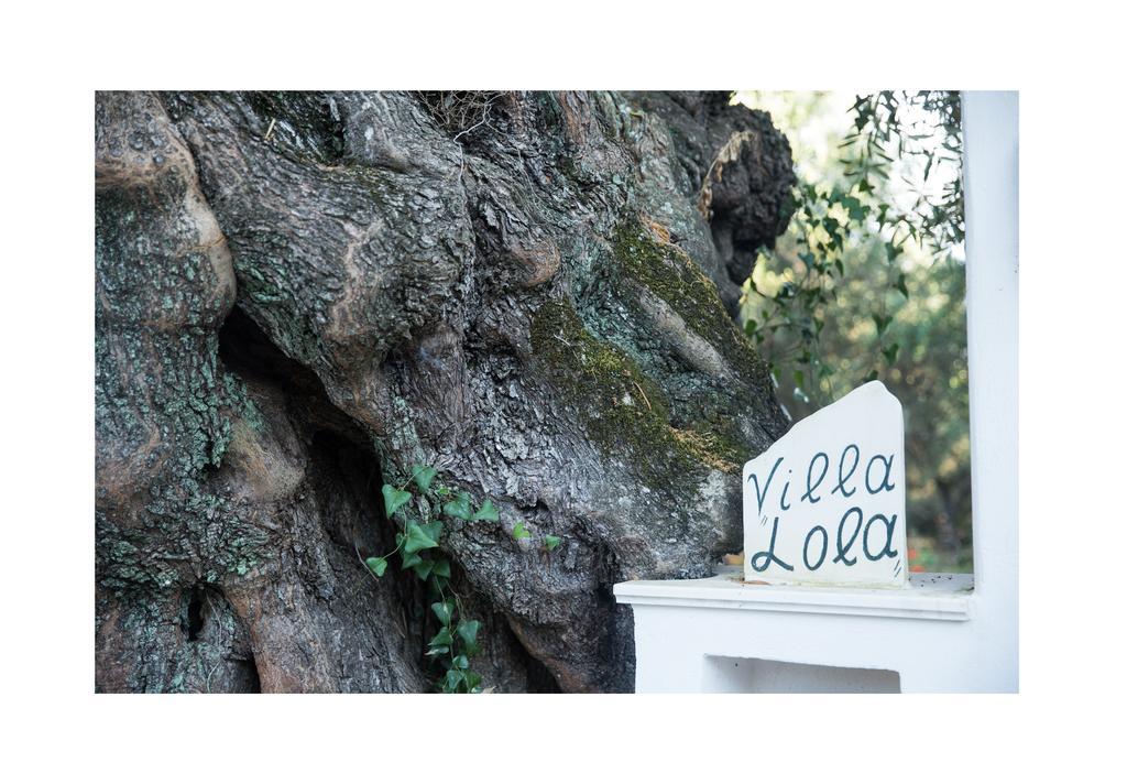 Villa Lola - 3 Bedrooms & Private Pool Lithakia  Luaran gambar